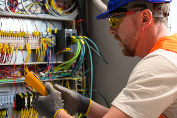 Best Electric Panel Repair  in Lauderdale By The Sea, FL